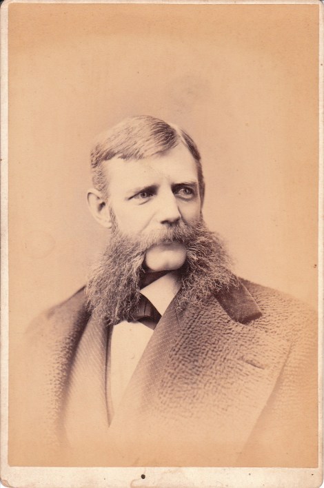 SARONY MUSTACHE_0002