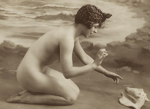 noyer nude 4