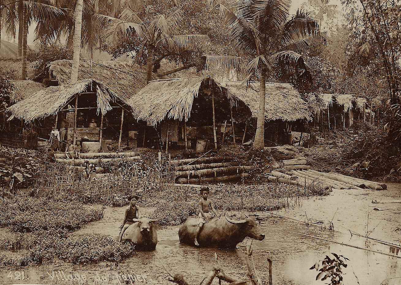 Screen Shot 2019-04-23 at 11.17.13 PM