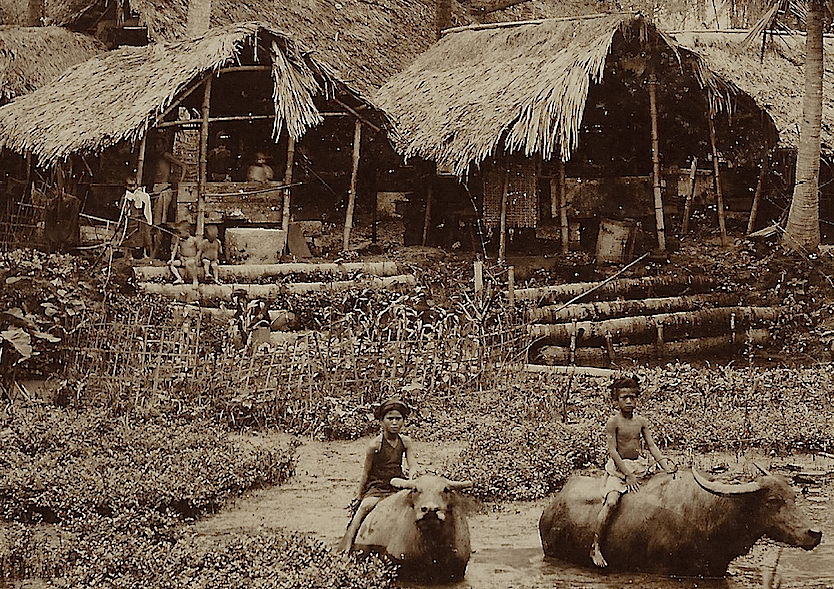 Screen Shot 2019-04-23 at 11.46.52 PM