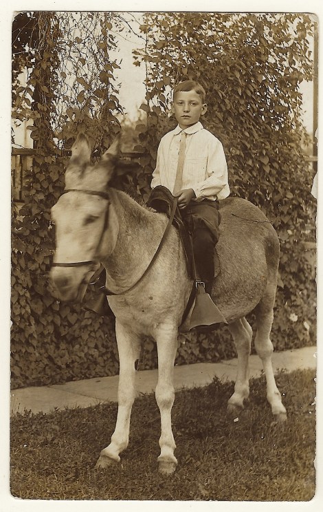 boy riding donkey