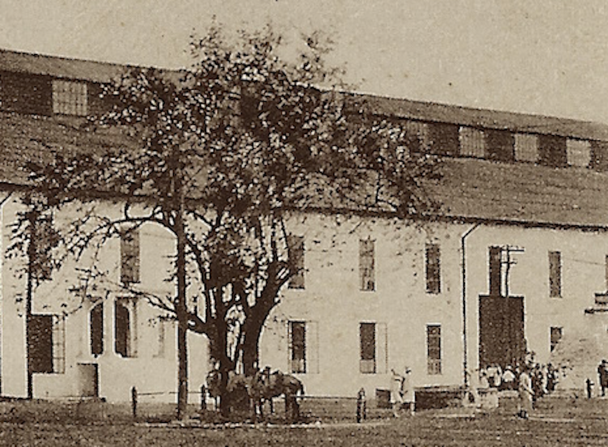 Screen Shot 2019-09-14 at 12.53.57 PM