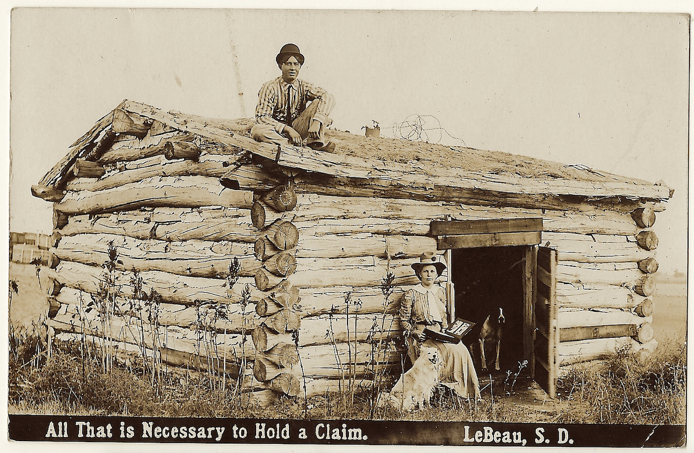 Screen Shot 2020-02-03 at 8.23.22 PM