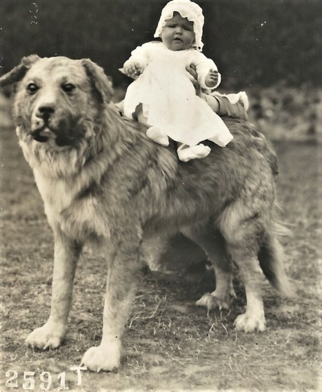 2020-04-12_001842 dog baby 2